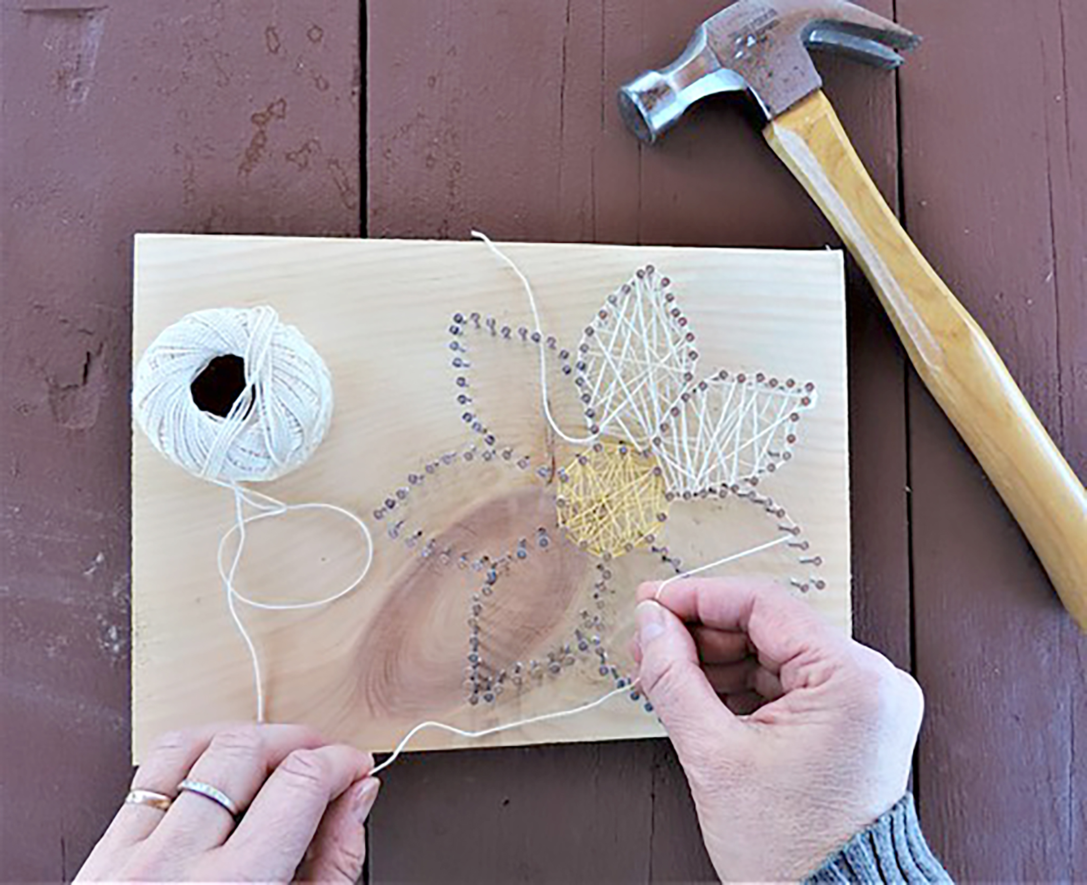 Make your own string art at Audubon | News, Sports, Jobs - Vimarsana News